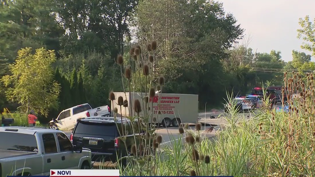 Fatal crash on 8 Mile Road, Beck | FOX 2 Detroit