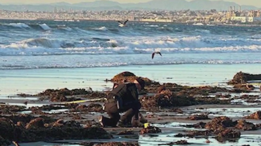 Skeletal remains found in Palos Verdes Estates