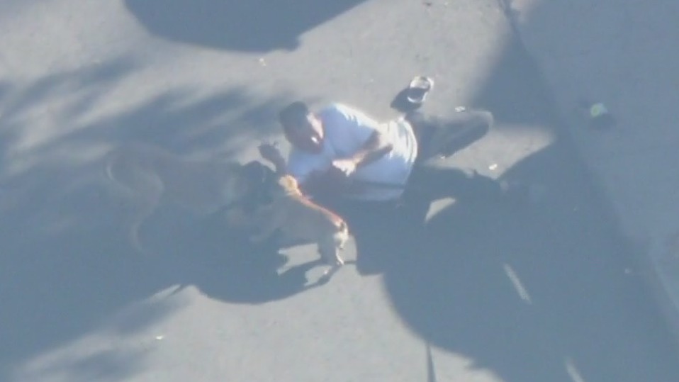 Shooting suspect arrested after wild standoff