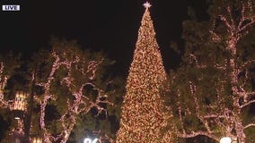 Tree-lighting ceremony at The Grove