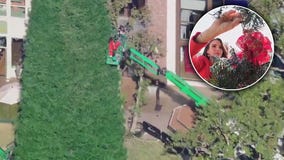 Jenn at Work: Decorating The Grove Christmas tree