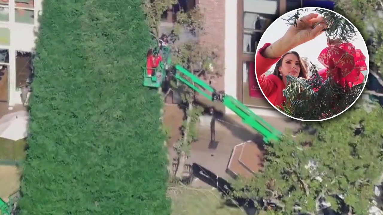 Jenn at Work: Decorating The Grove Christmas tree