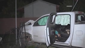 Driver crashes truck, ditches dog