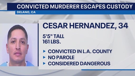 Convicted murderer escapes custody