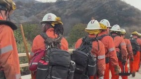 Wind-driven Franklin Fire continues growing