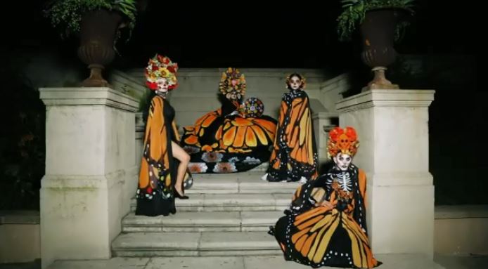 In Depth; Ticket Scams, Rescue Groups, Day of the Dead