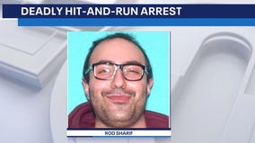 Santa Monica hit-and-run suspect arrested