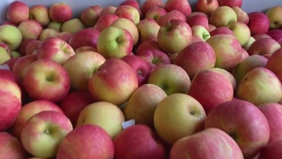 What an apple a day can do for your health