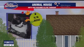 Welcome Ms. Smudge, Lola & Shine!