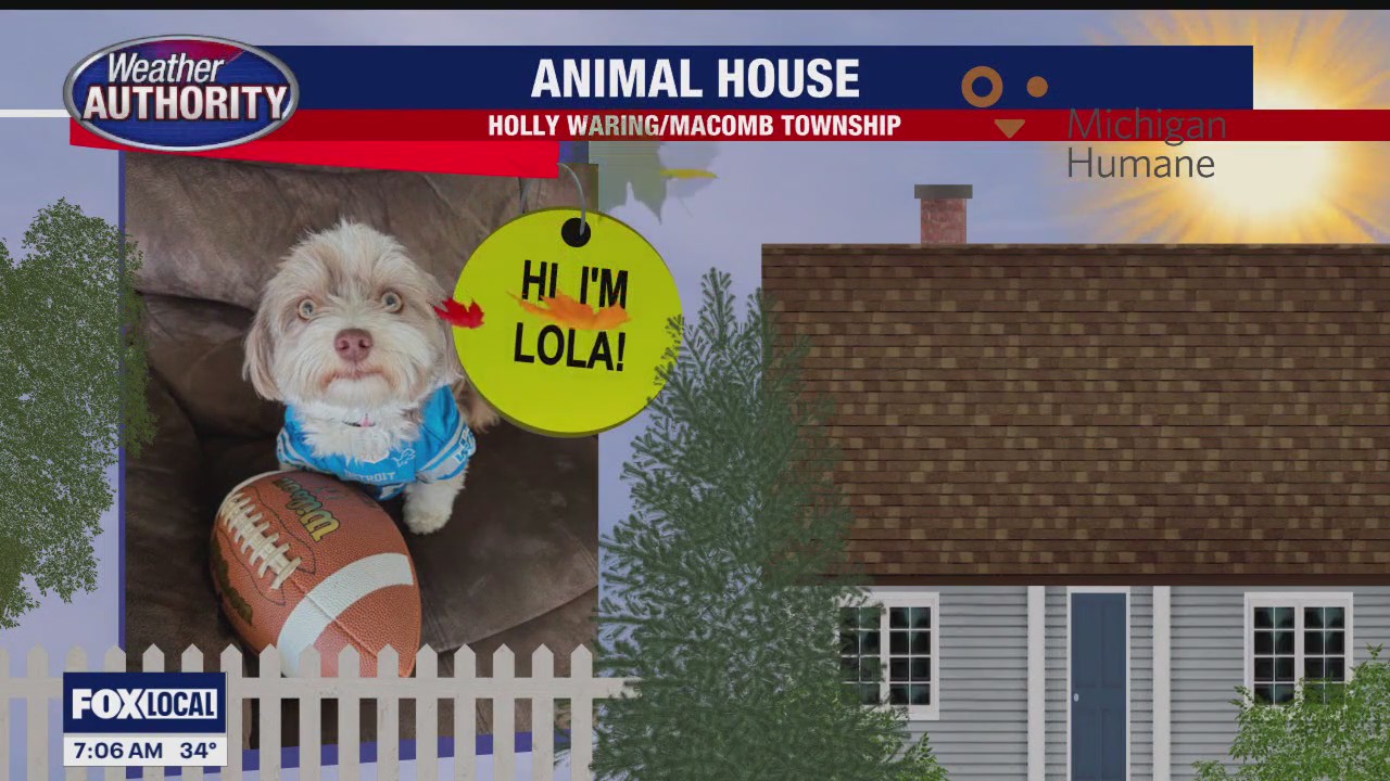 Welcome Lola, Oscar, Titus