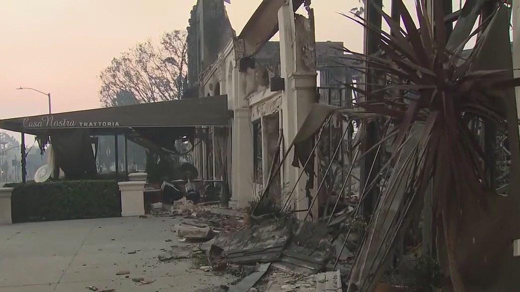 Palisades Fire: A look at the damage