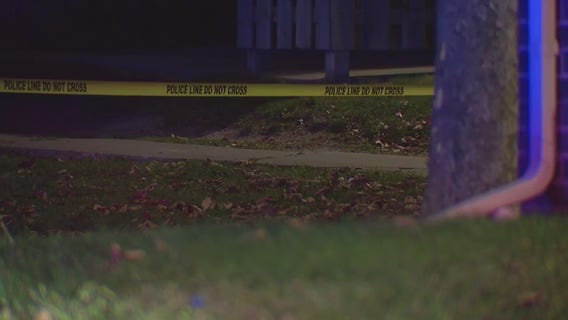 Teen in custody after shooting 14-year-old in head in Detroit