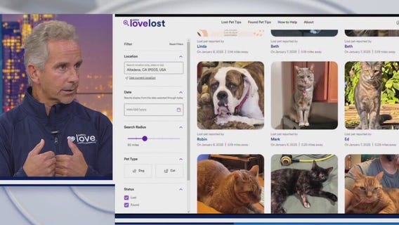 LA fires: How to reunite with your lost pet