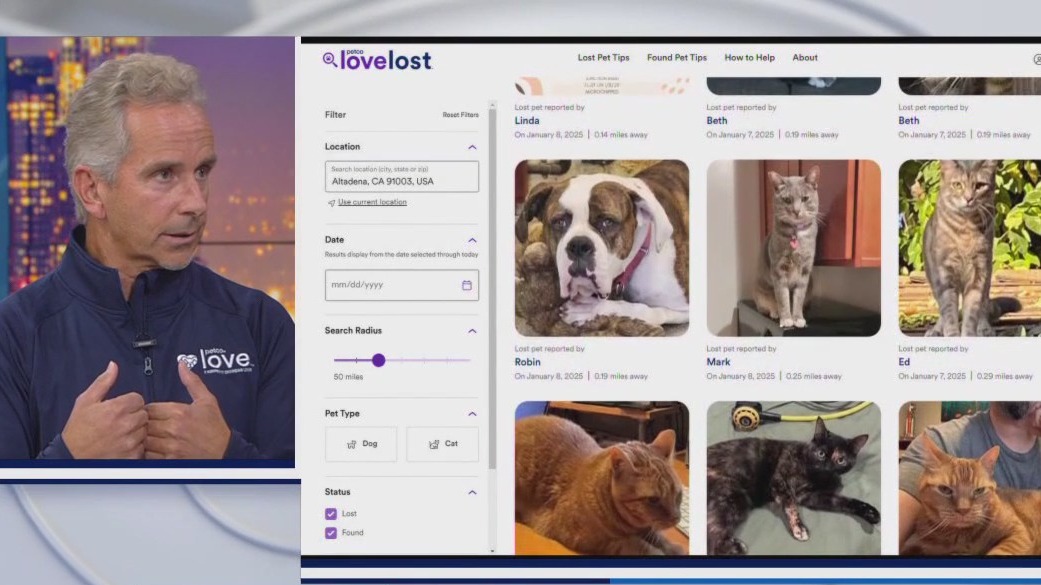 LA fires: How to reunite with your lost pet