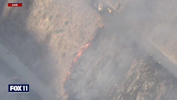 Fire near 405 Freeway