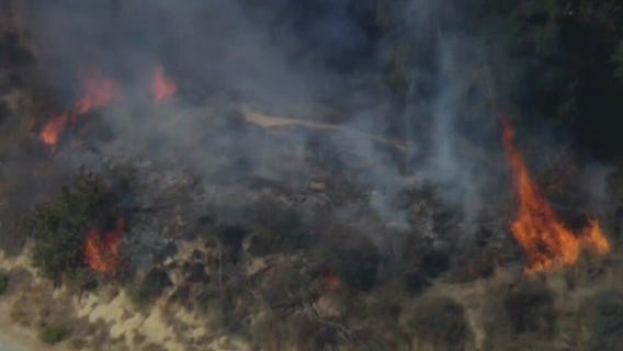 Arson suspect arrested in Griffith Park fire