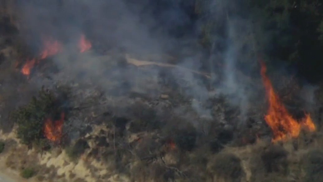 Arson suspect arrested in Griffith Park fire