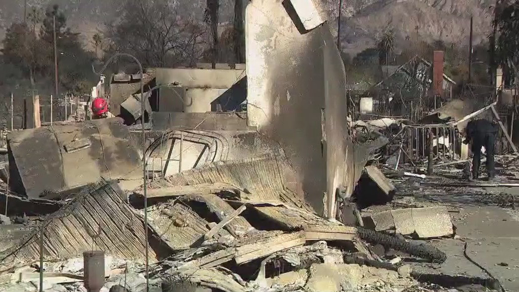 Trump to visit LA on Friday to survey wildfire damage