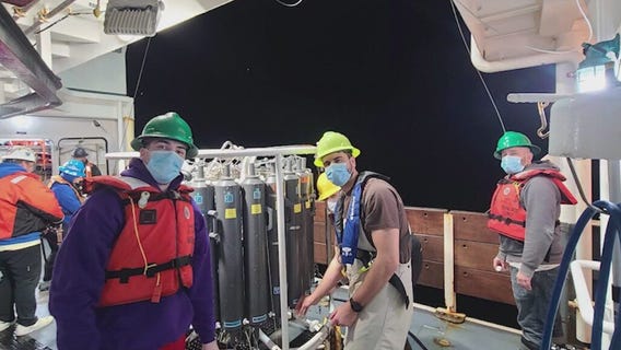 Palisades Fire debris threatens marine life