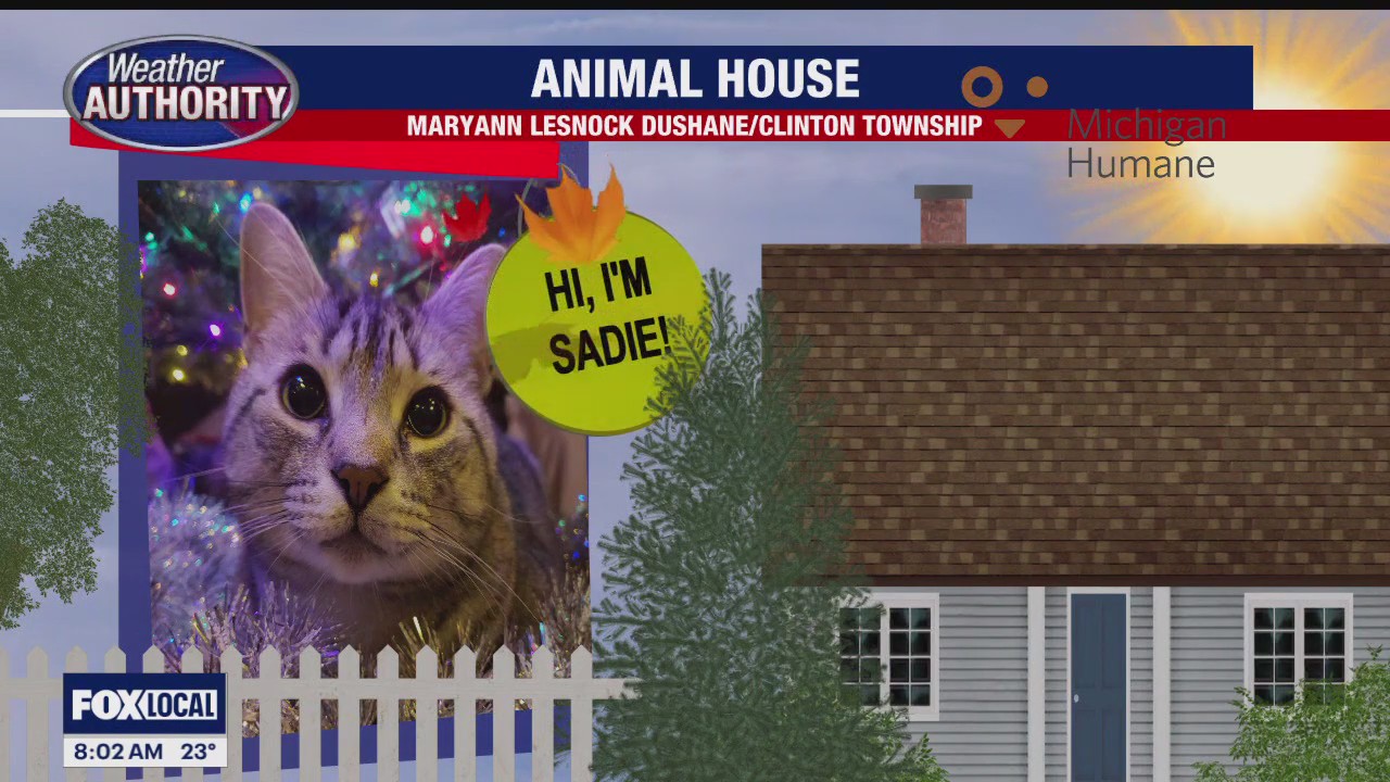 Welcome Sadie, Diesel & Einstein