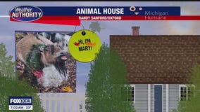 Welcome Mary, Winnie & Seger