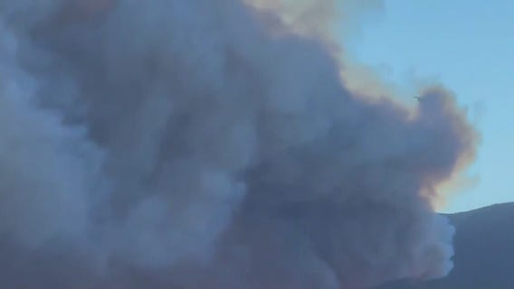 The long-term health effects of toxic air