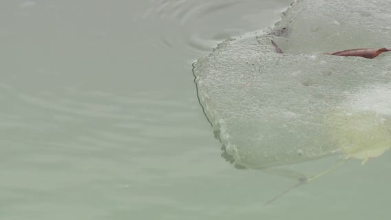 Riverview ice rescue reminds community members to stay off the ice