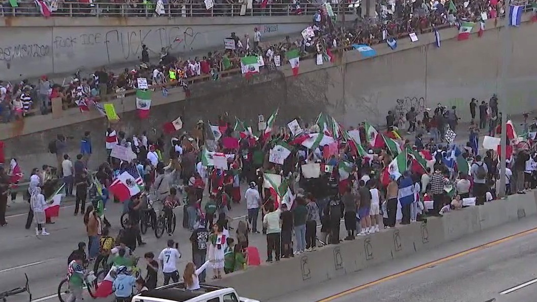 Protesters block LA freeway in demonstration against ICE