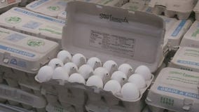 100,000 eggs stolen in Pennsylvania