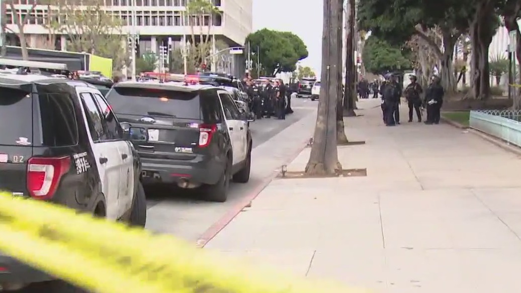 LA protest stabbing: Immigration demonstration turns violent