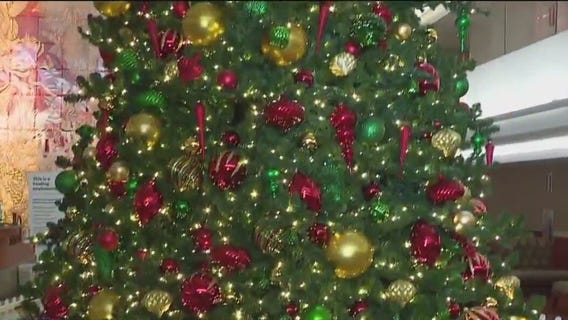 Student delivers toys to Metro Detroit hospitals