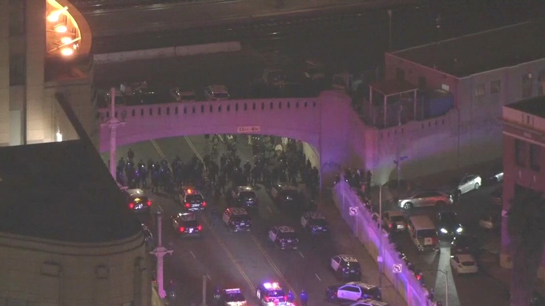 Man threw books on LA Freeway during protest: DA says