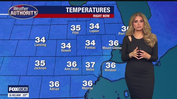 Damp start to the day