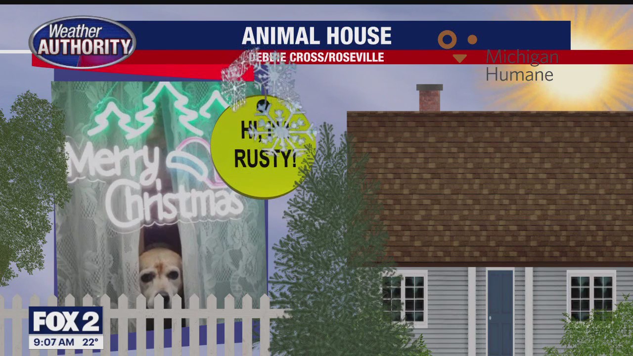 Welcome Rusty, Scrappy & Tigger