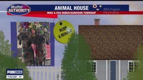 Welcome Baily, Rosie, Reagan, Rocko