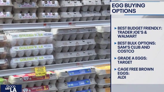 Where to find the cheapest eggs?