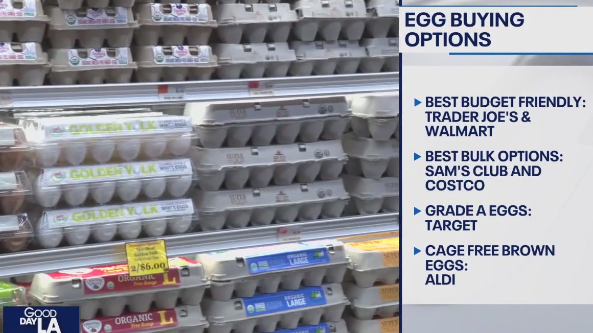 Where to find the cheapest eggs?