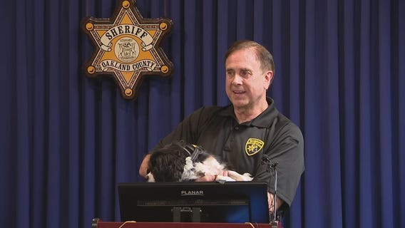 New Michigan bill expands use of therapy dogs in court