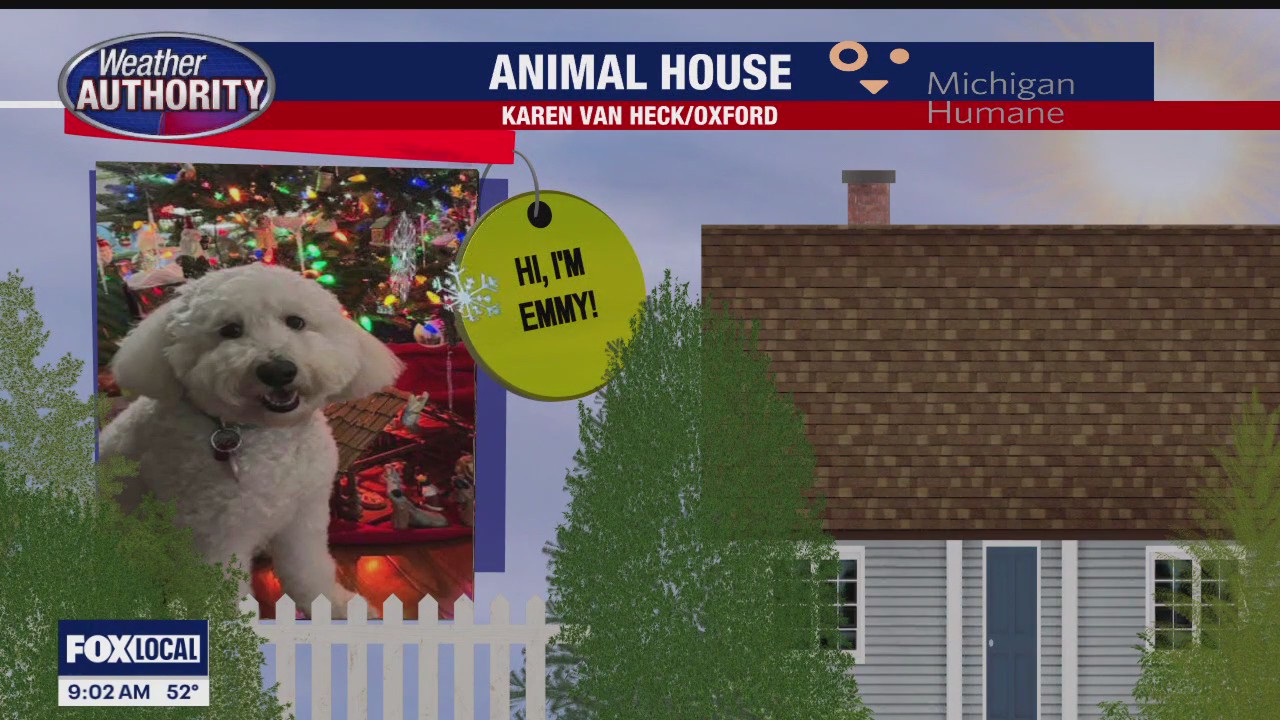 Welcome Emmy, Oscar & Lily Rose