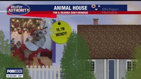 Welcome Wendy & Rosie