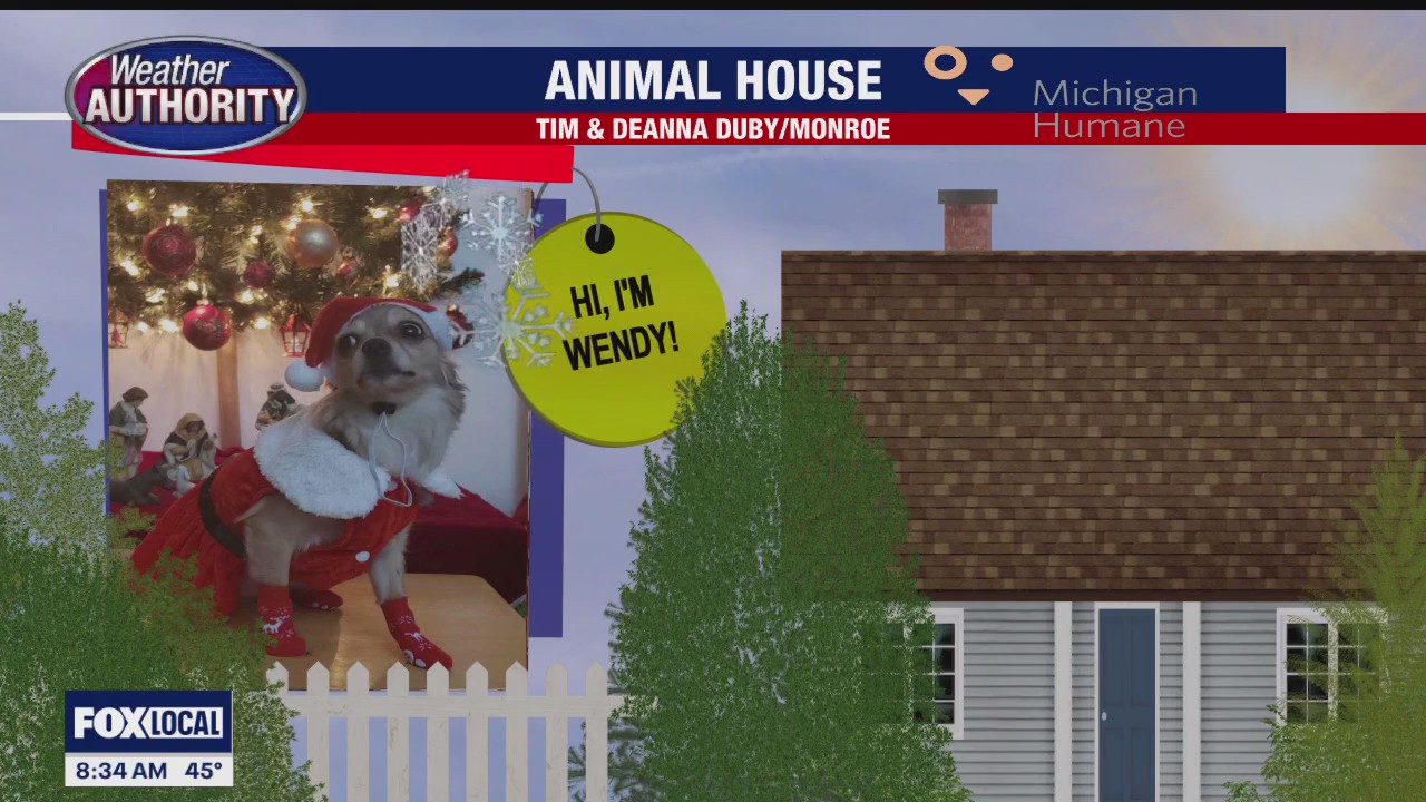 Welcome Wendy & Rosie