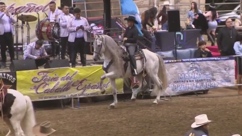 Feria del Caballo Espa?ol highlights Charro tradition