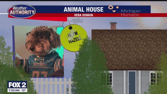 Welcome Hazel Grace, Rocco & Sarahlia