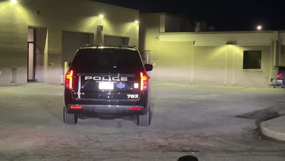 Exclusive video: Ex-boyfriend arrested in Ashley Elkins case, says Roseville police