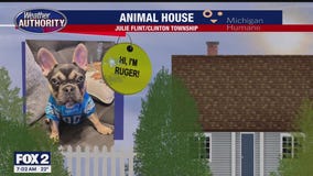 Welcome Ruby, Ruger, & Frankie