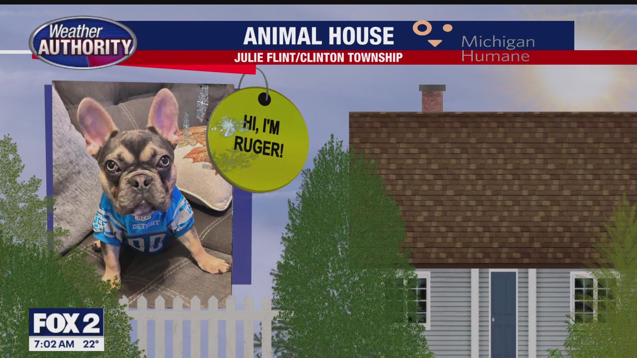 Welcome Ruby, Ruger, & Frankie