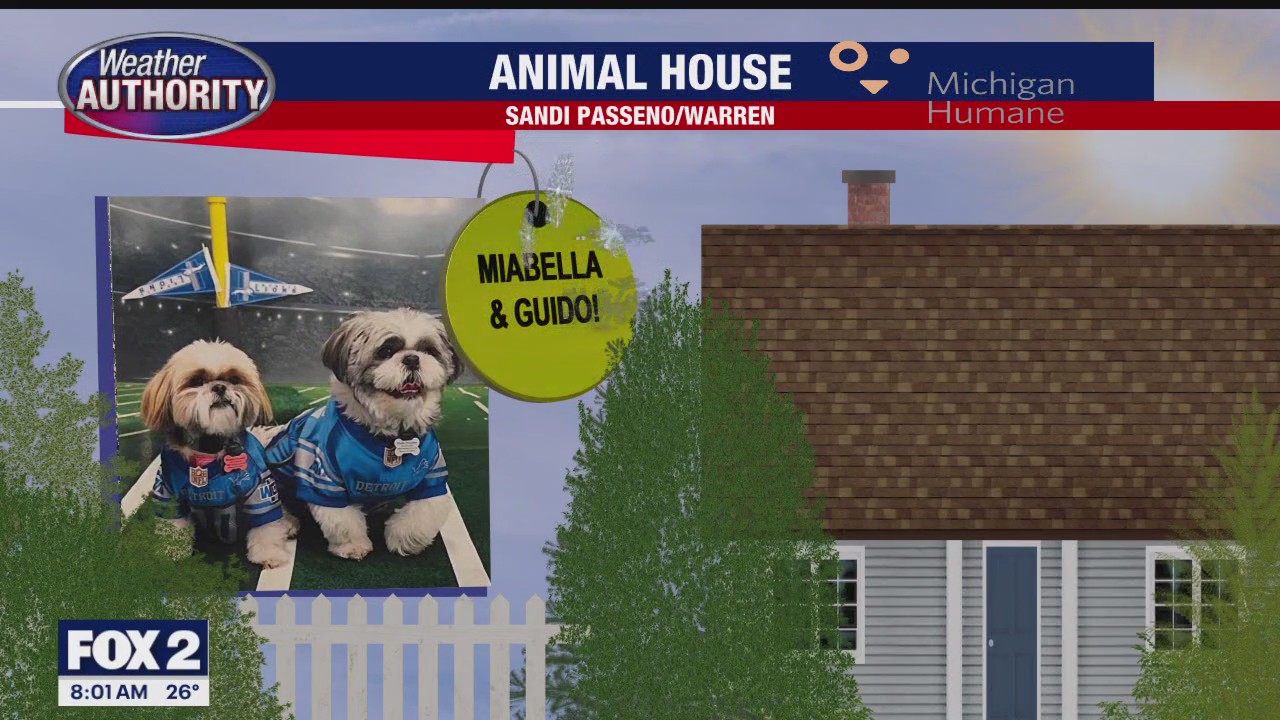 Welcome Miabella, Guido, Bourbon, Ms Luna