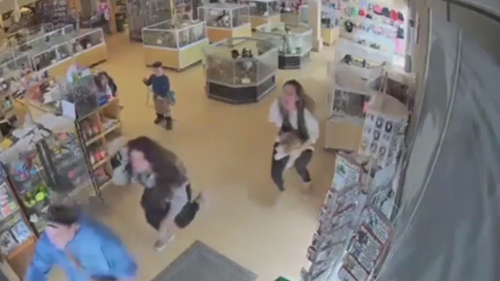 Thieves fake seizure to steal puppies from pet store