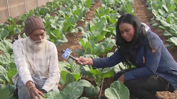 Inside Bloom Ranch of Acton