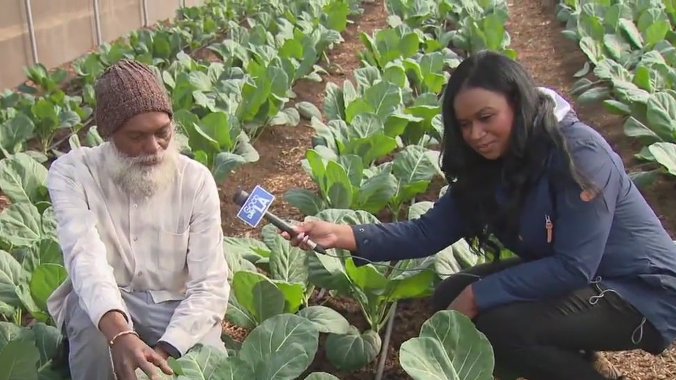 Inside Bloom Ranch of Acton